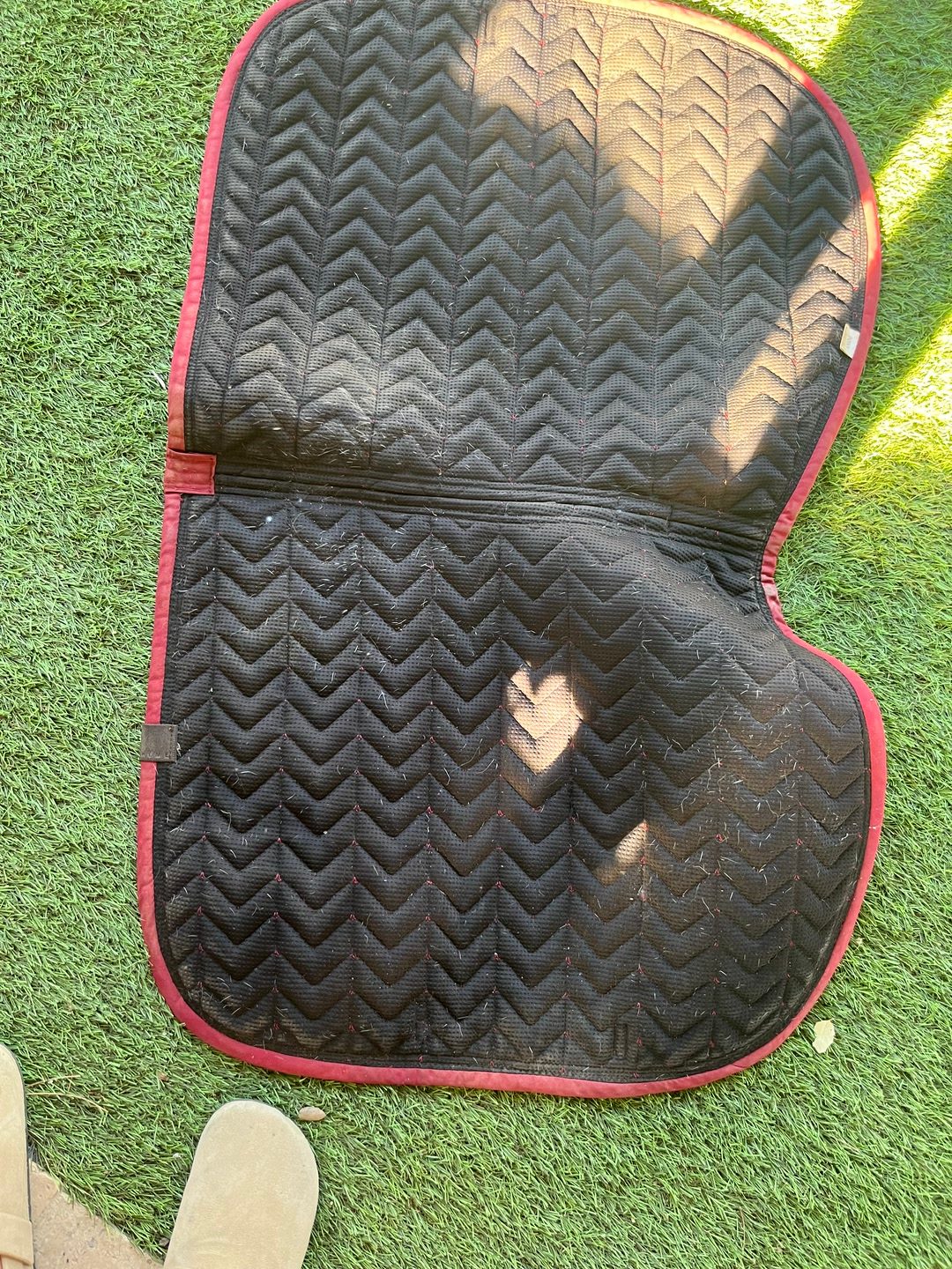 Tapis bordeaux equiteme, média 5