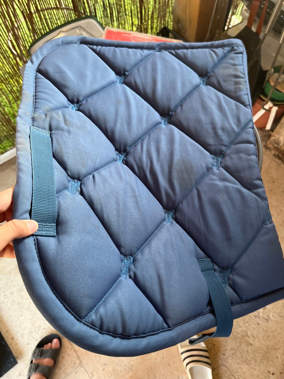 Tapis bleu, média 3