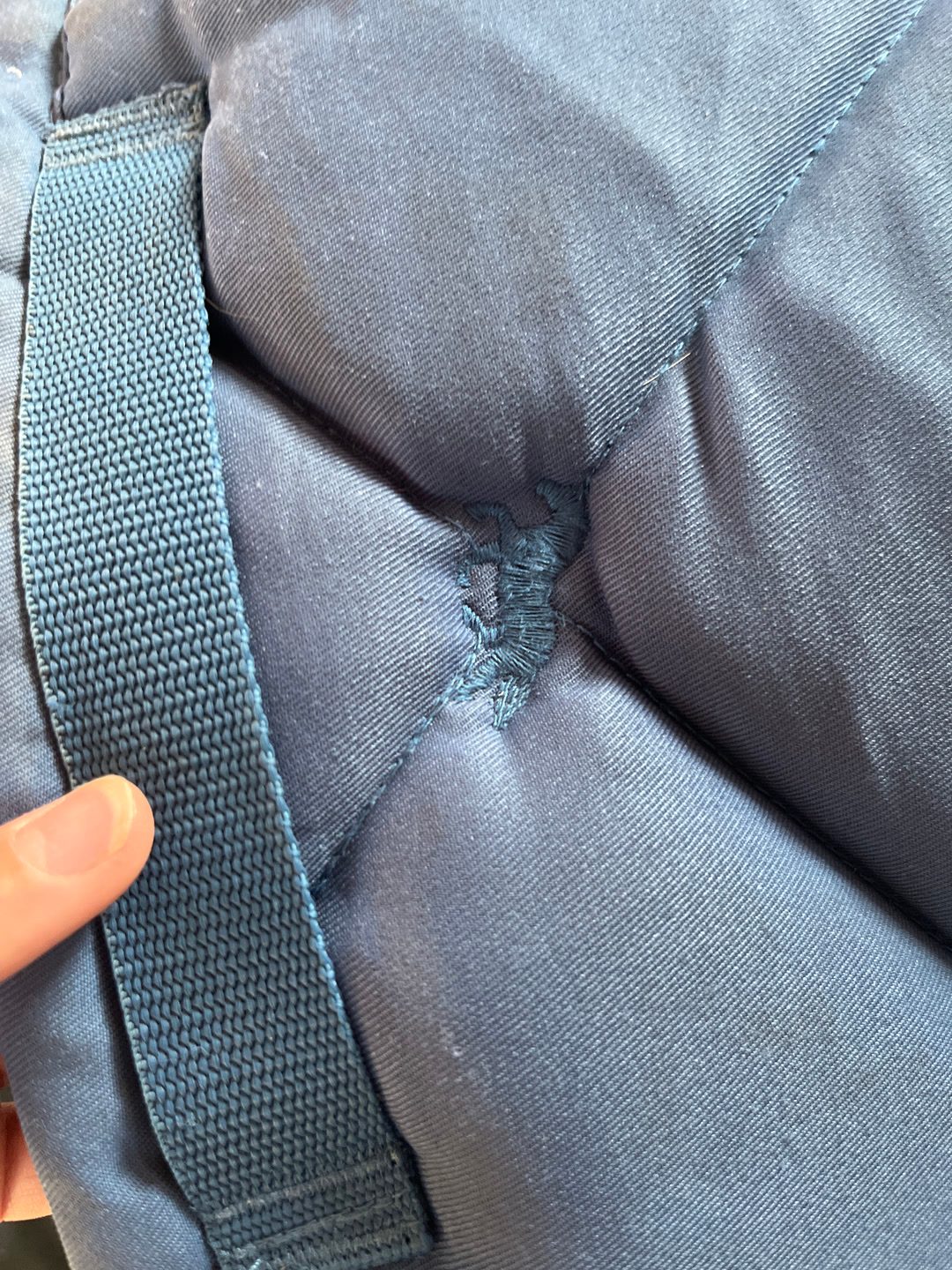 Tapis bleu, média 4