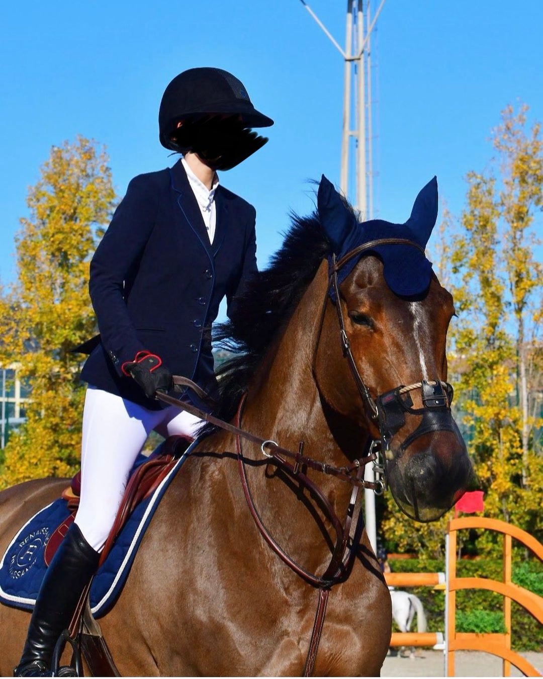Veste Equiline, média 7