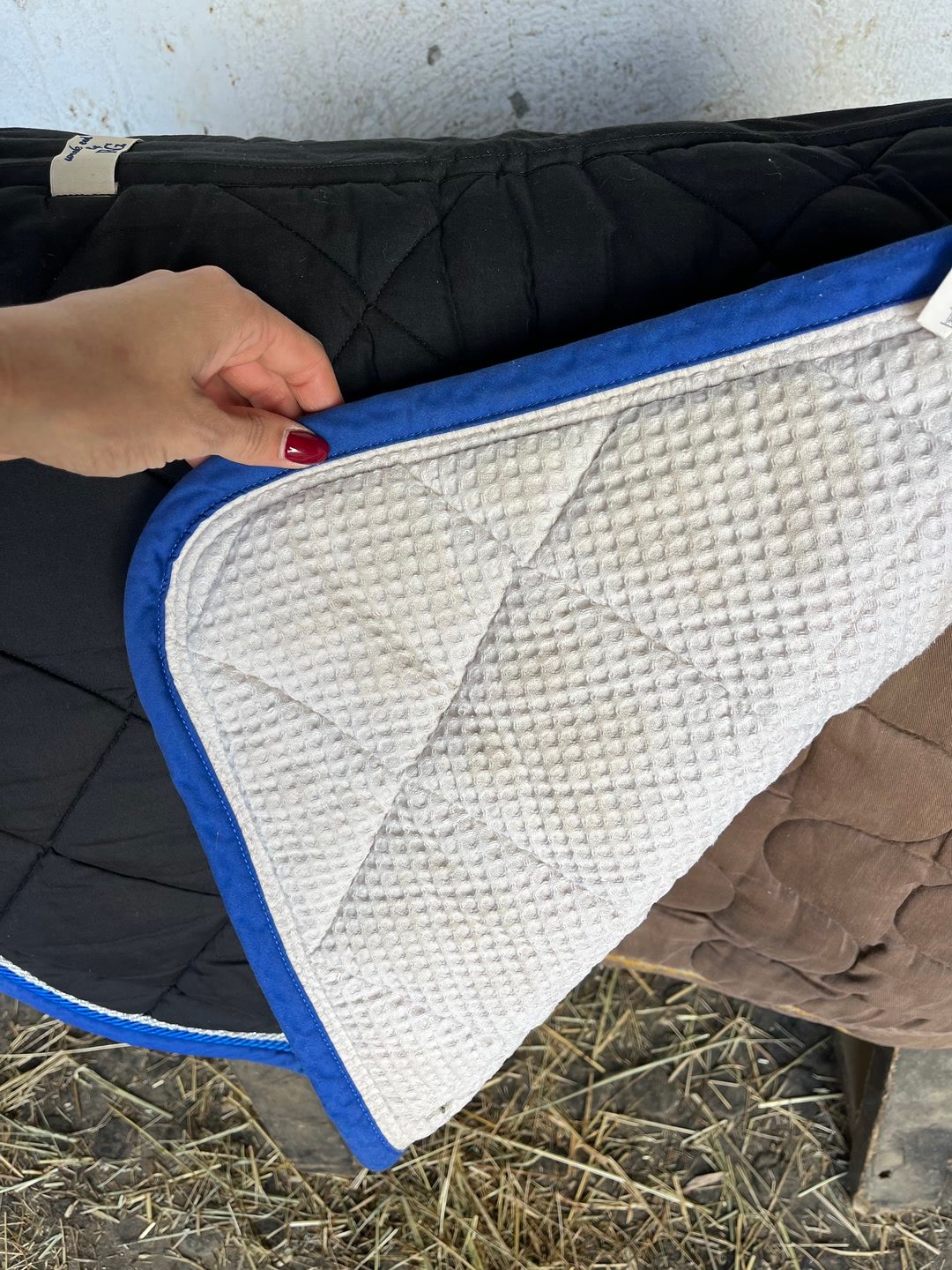 Tapis RG, média 3