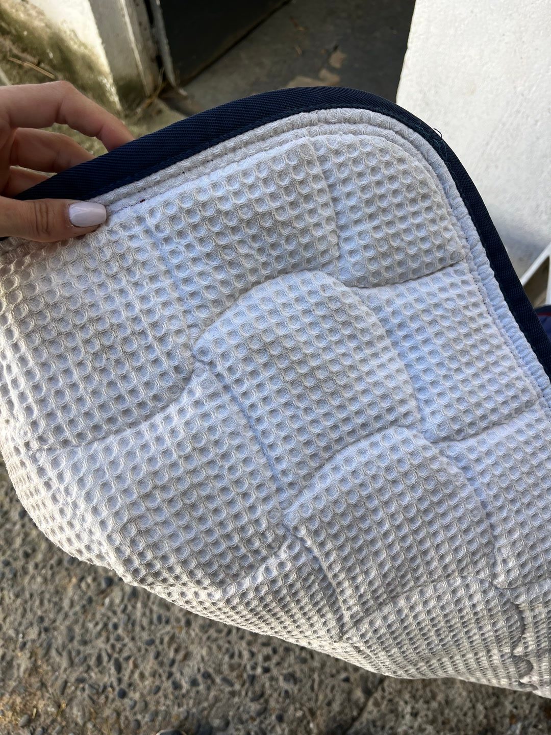 Tapis Scarpati, média 3