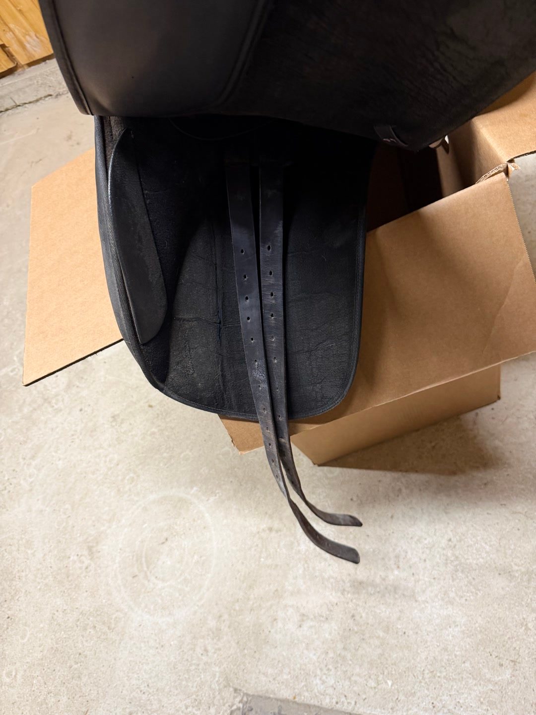 Selle de dressage, média 3