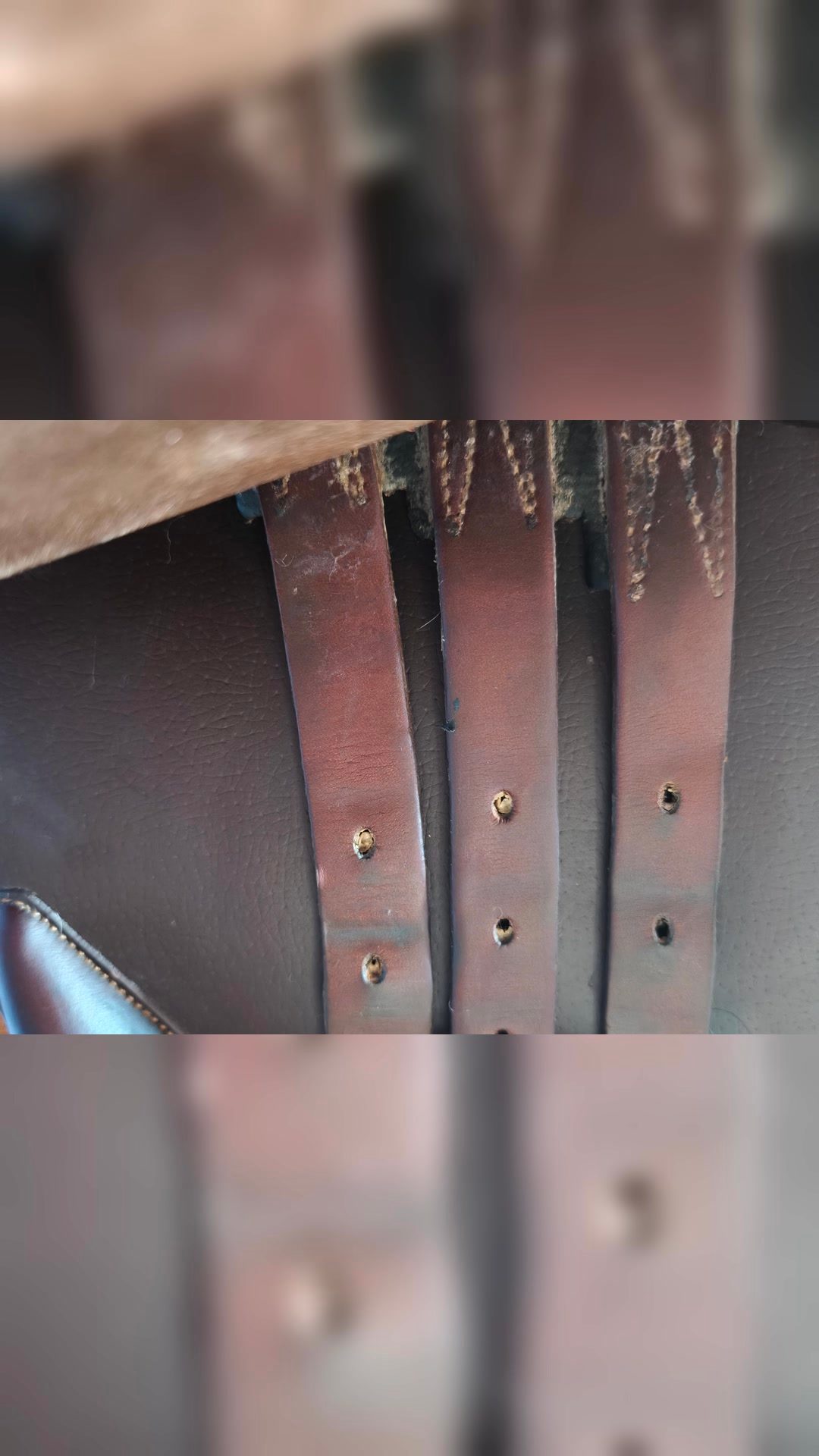 Vend selle devoucoux Biarritz taille 17, 5, média 2