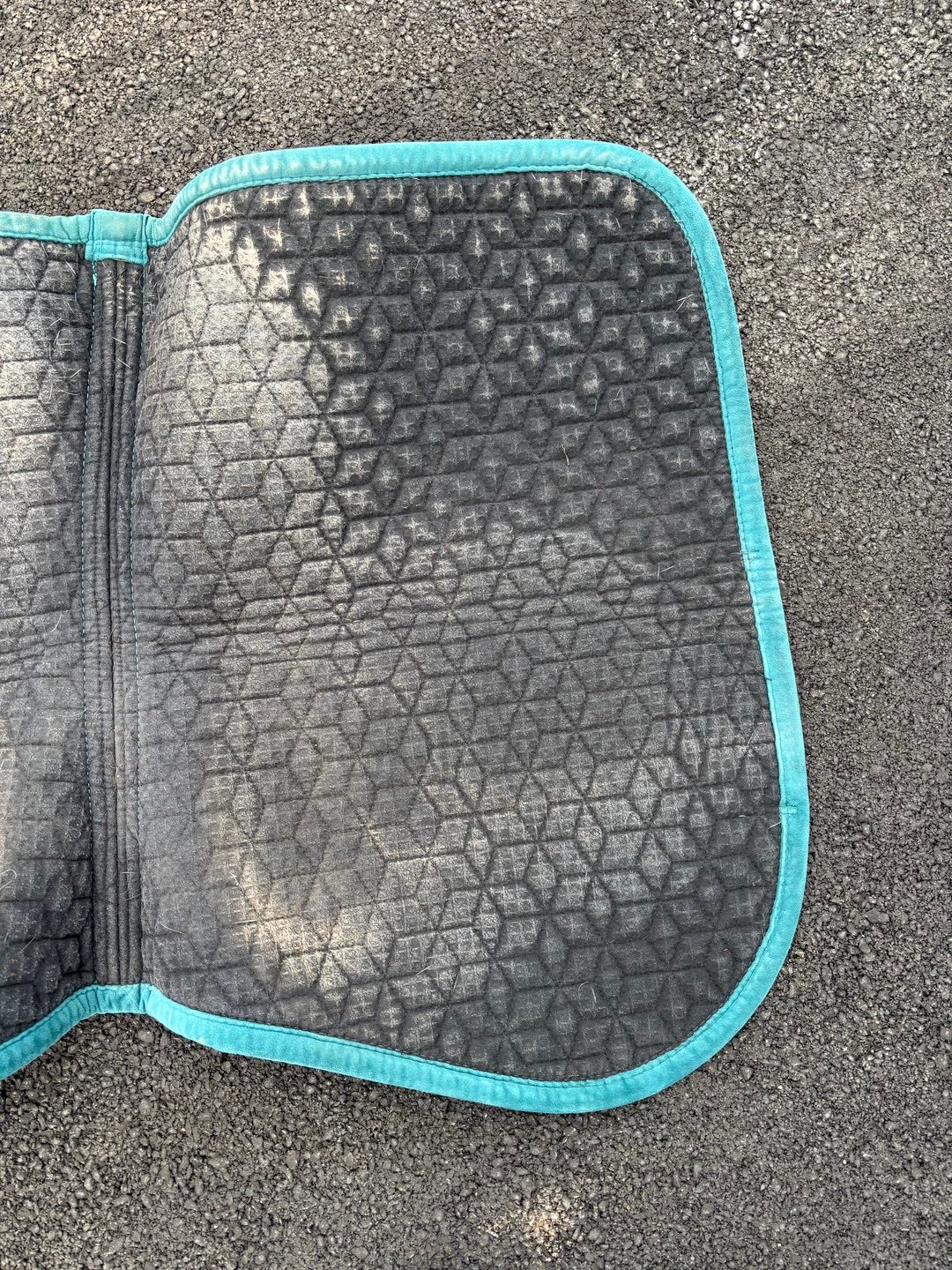 Tapis Kentucky velvet, média 5