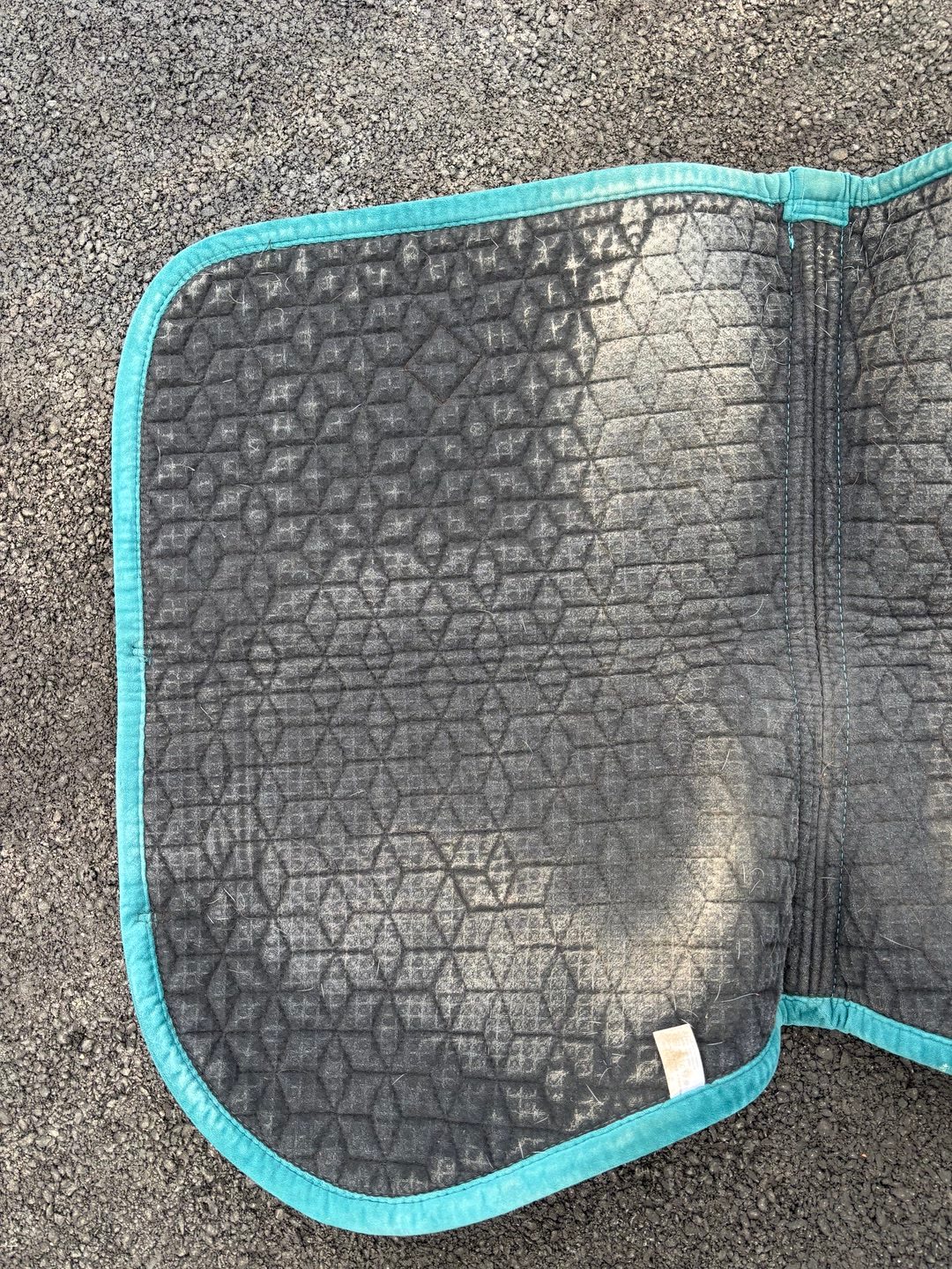 Tapis Kentucky velvet, média 4