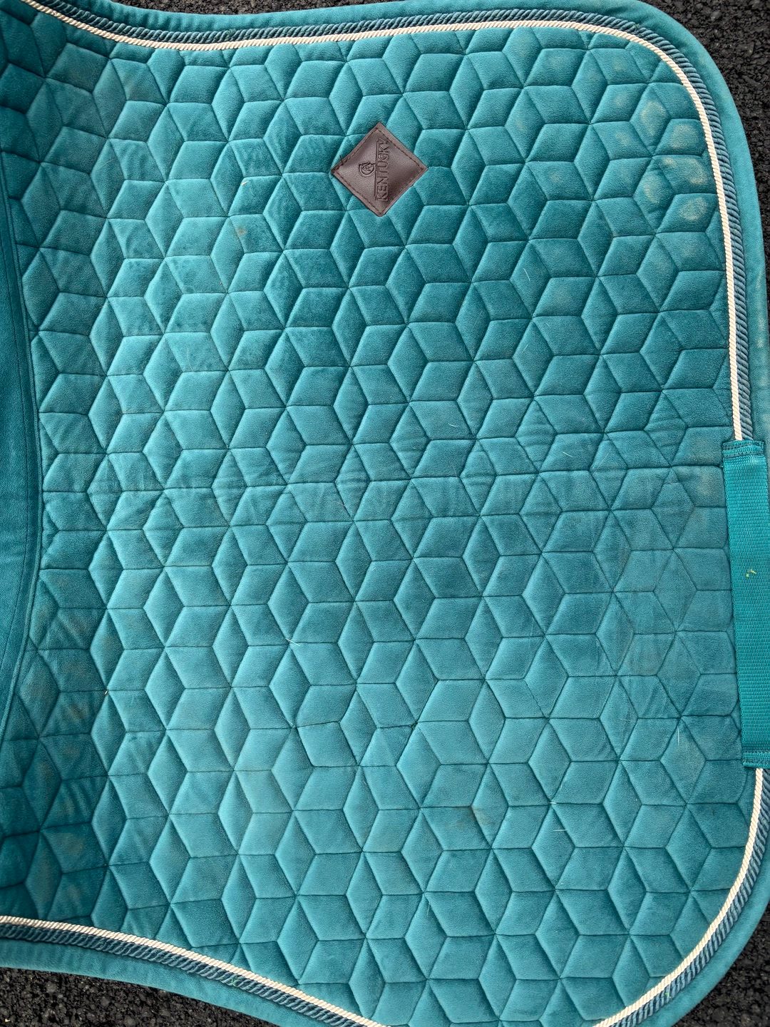 Tapis Kentucky velvet, média 2