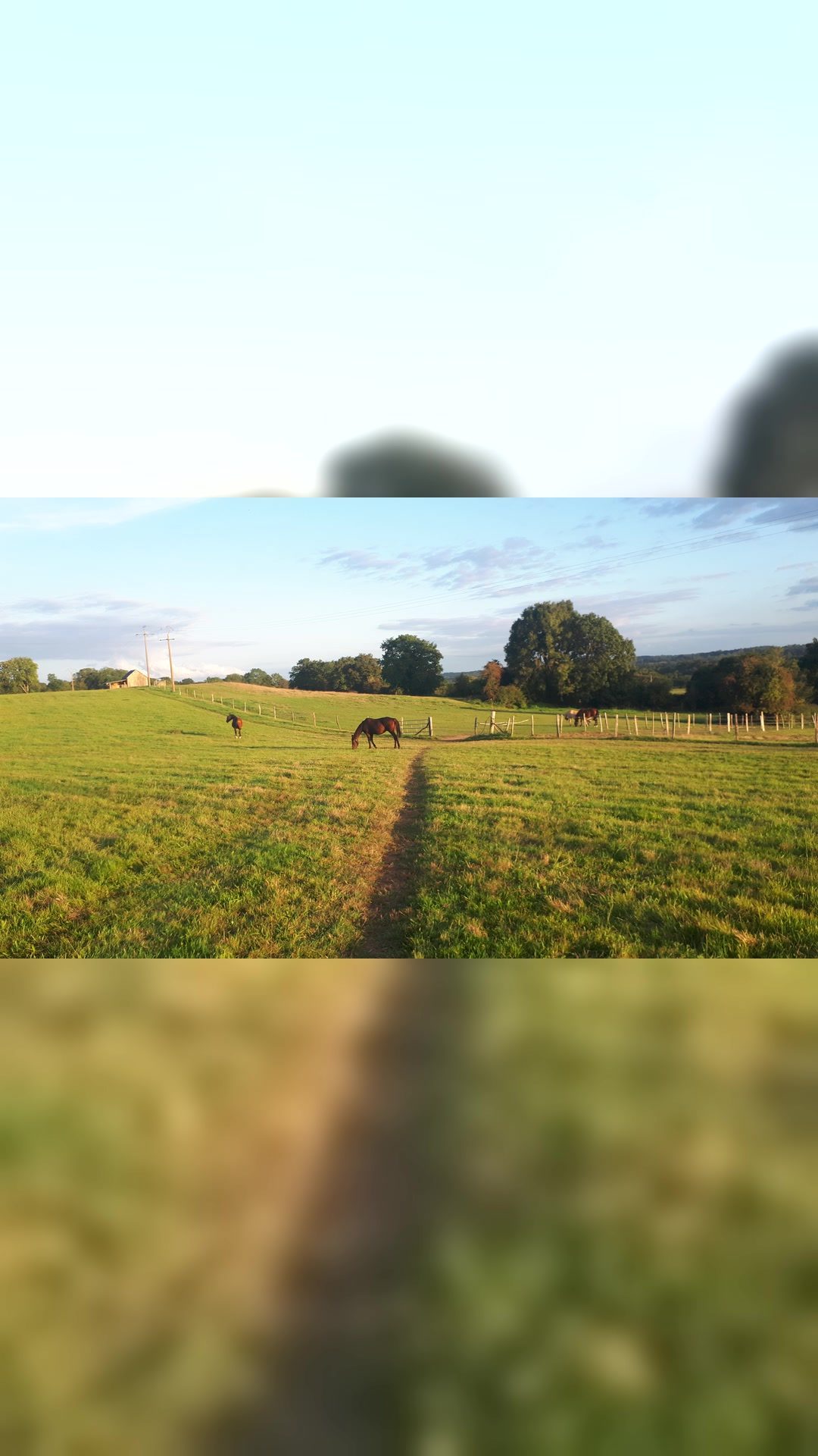Pension pour chevaux, média 2