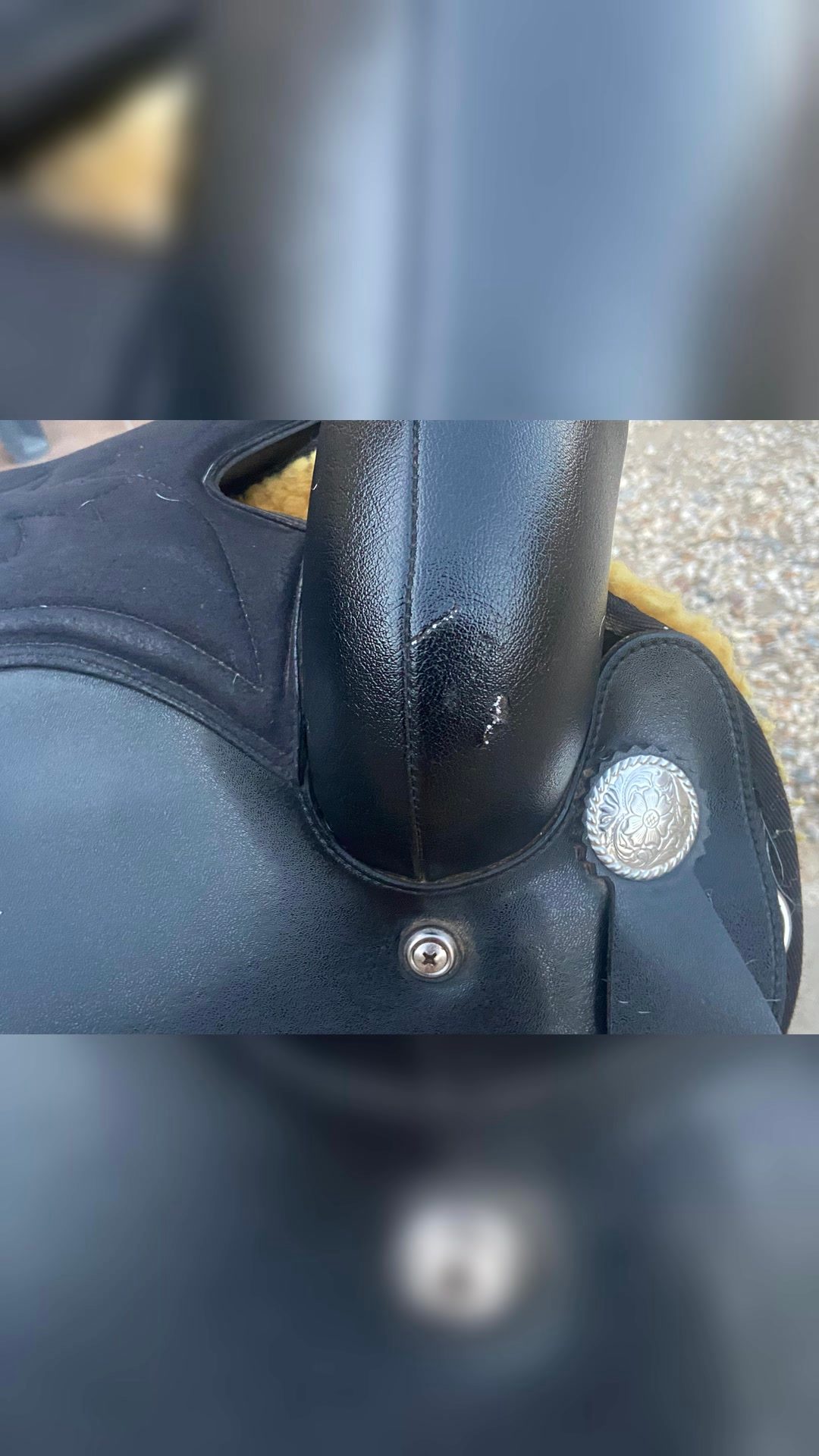 Selle western  wintec 17 pouces, média 7
