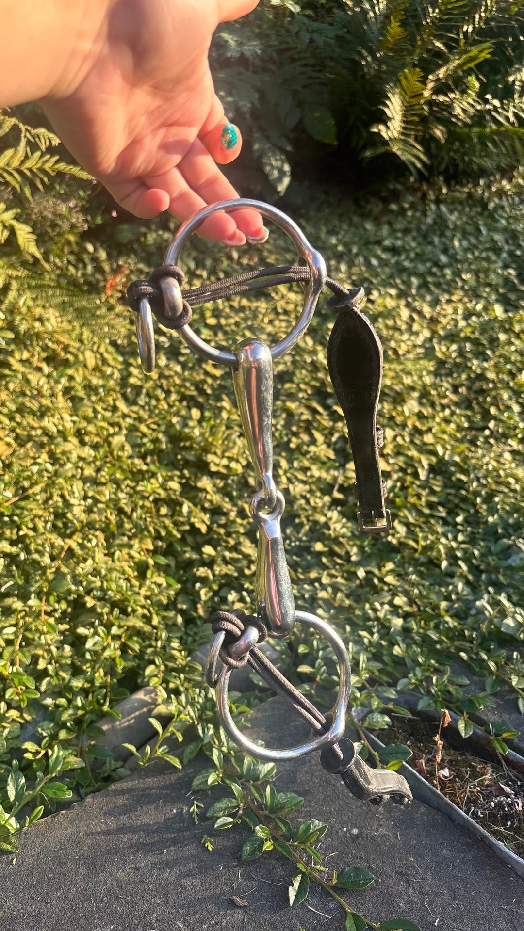 Mors releveur  15cm, média 2