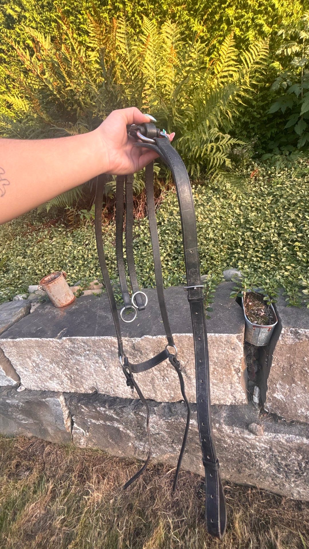 Collier de chasse COB, média 4