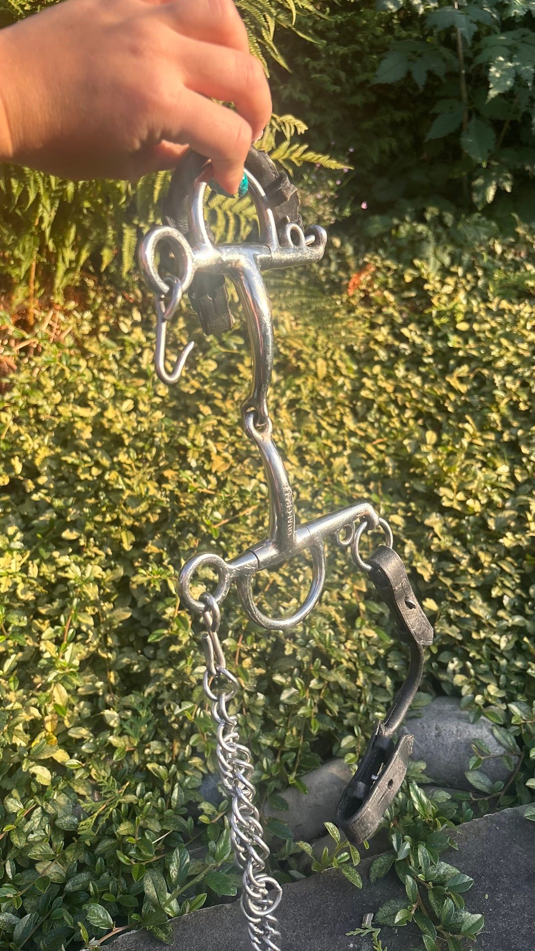 Mors pelham 14cm, média 2