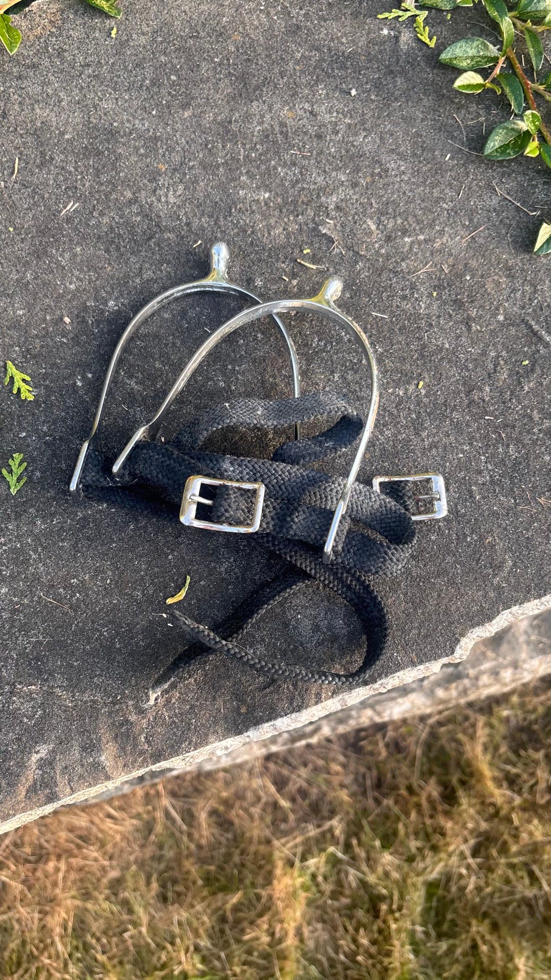 Paire d’éperons 2cm, média 2
