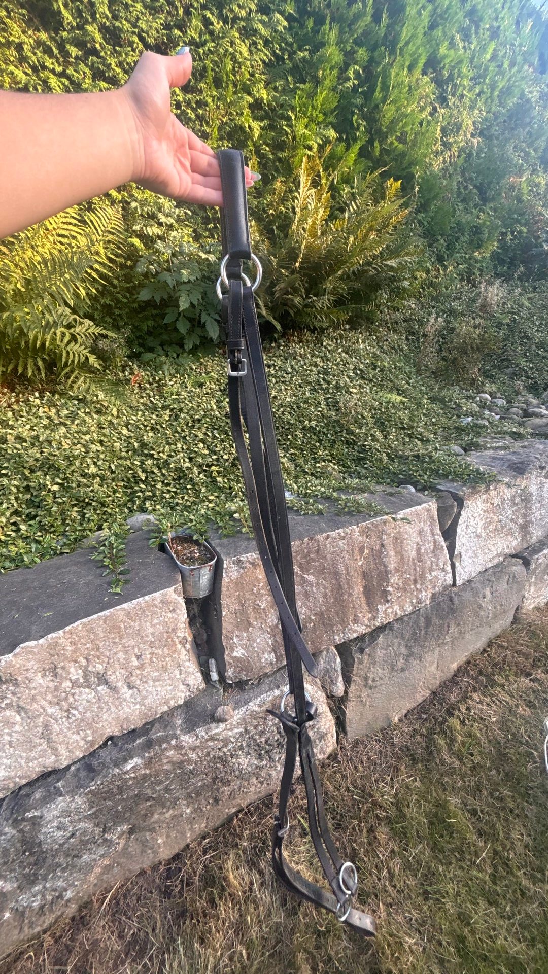 Collier de chasse COB, média 5