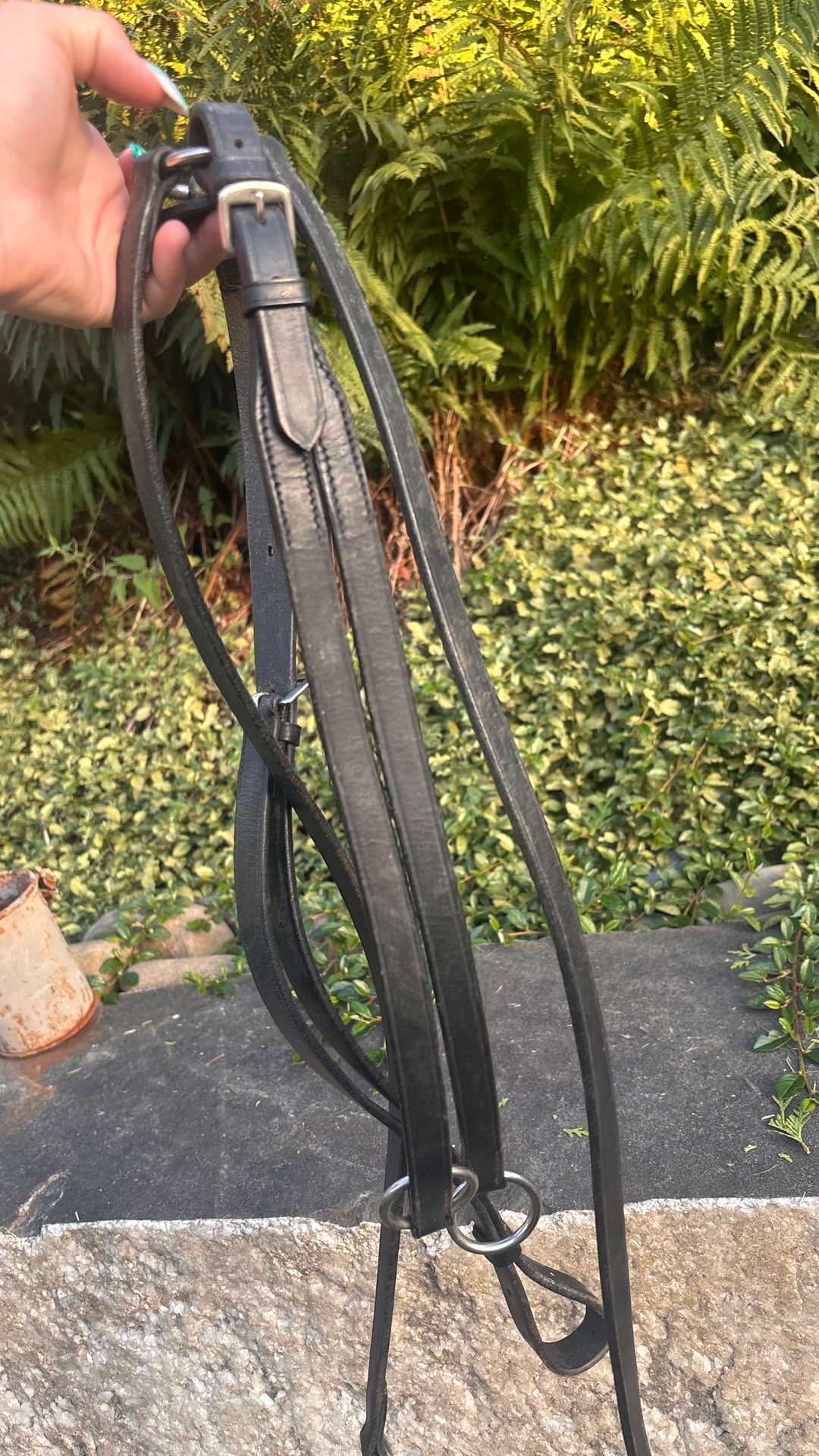 Collier de chasse COB, média 3