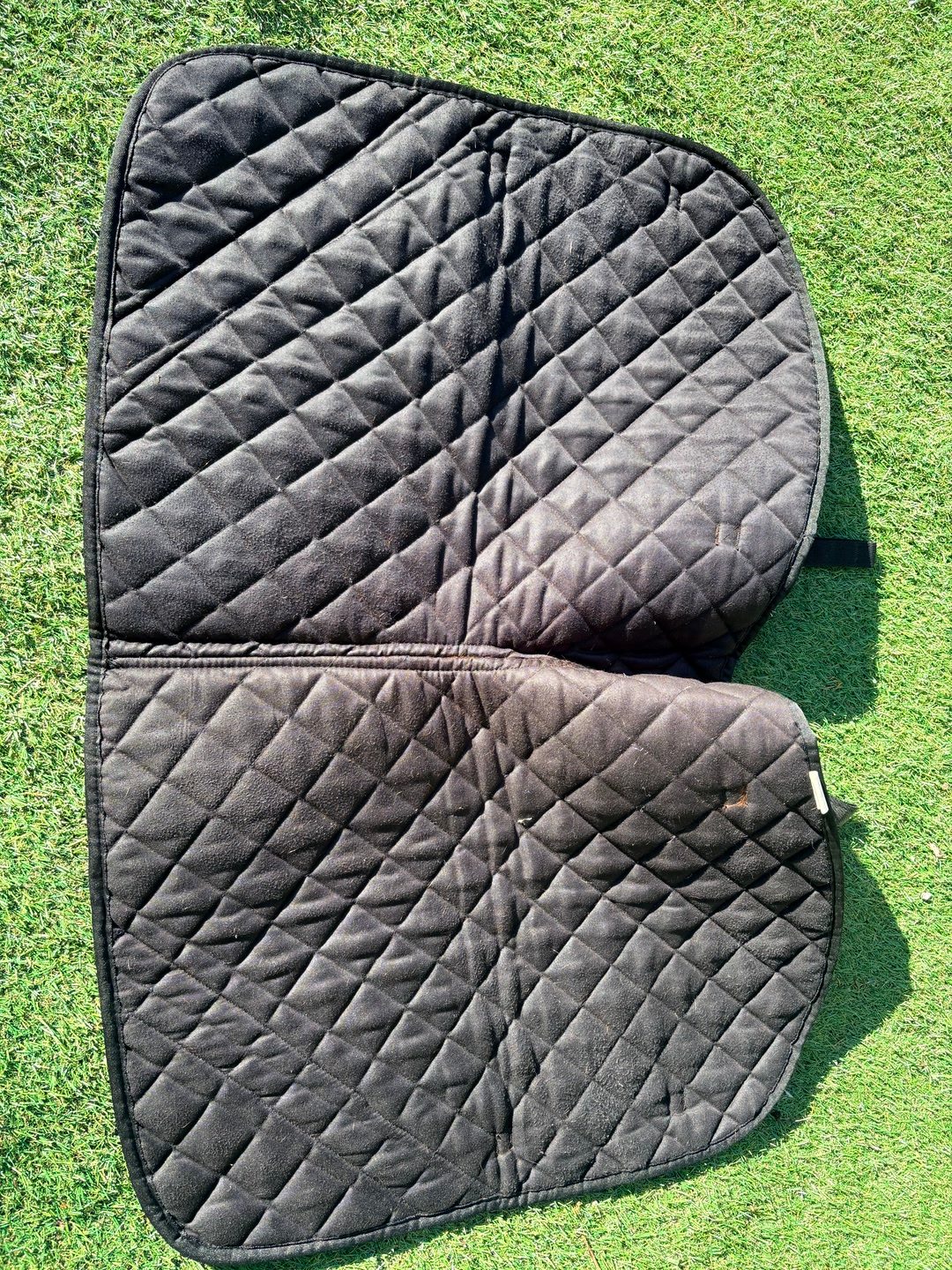 Tapis dressage equitheme, média 3