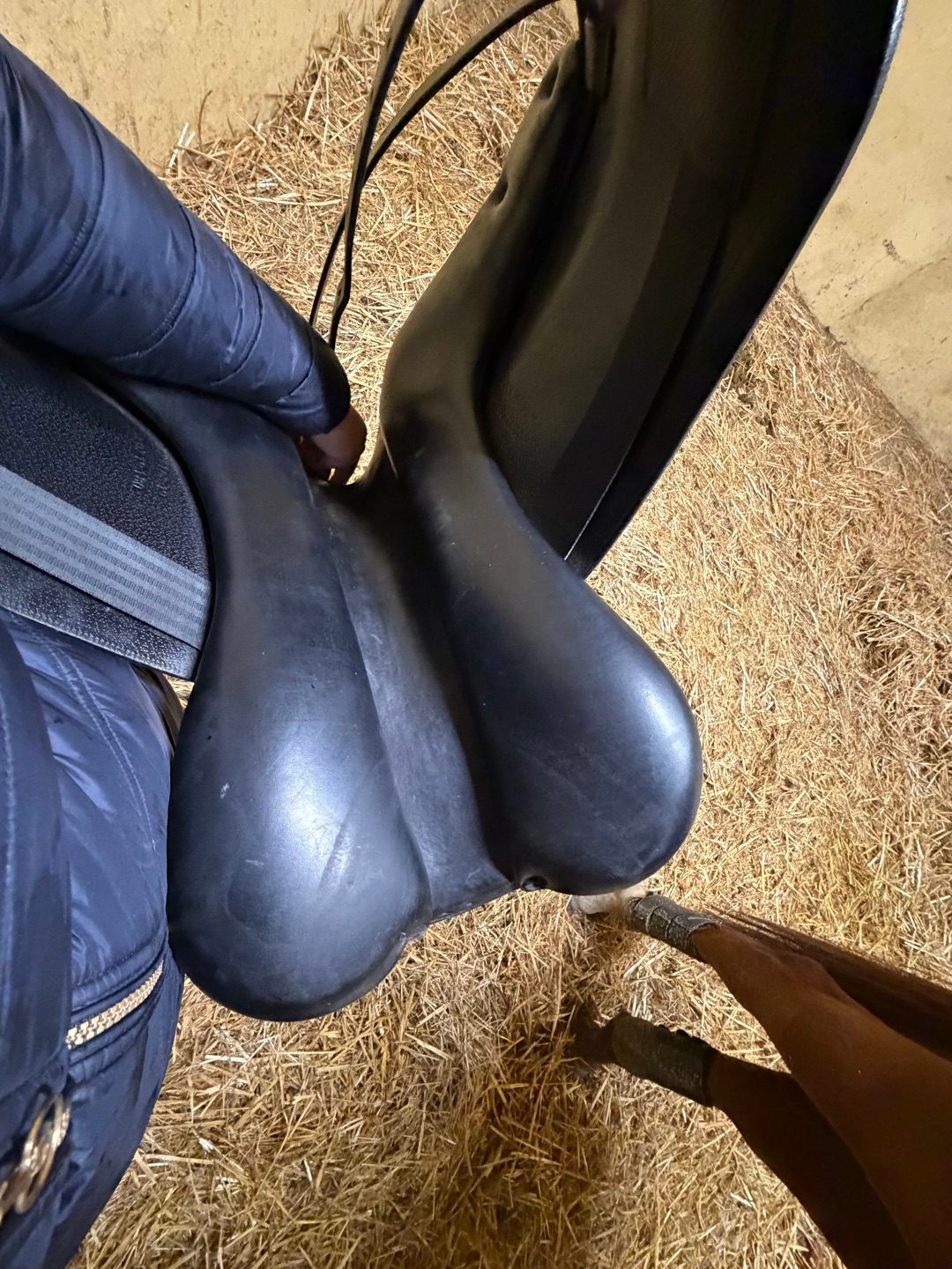 Selle dressage Aulion, média 6