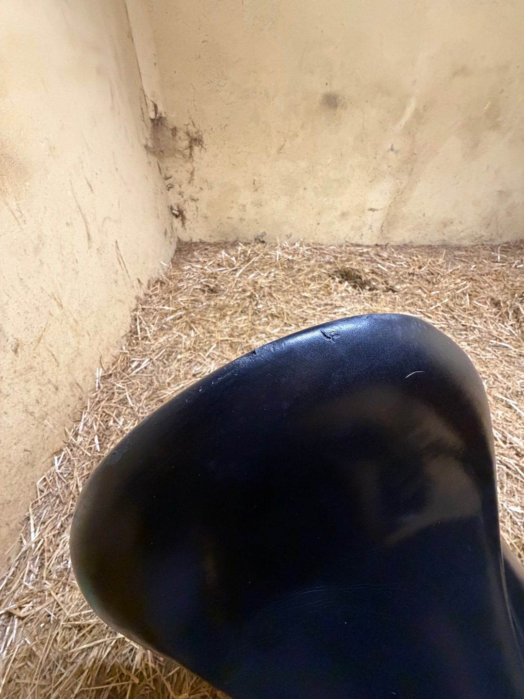 Selle dressage Aulion, média 4