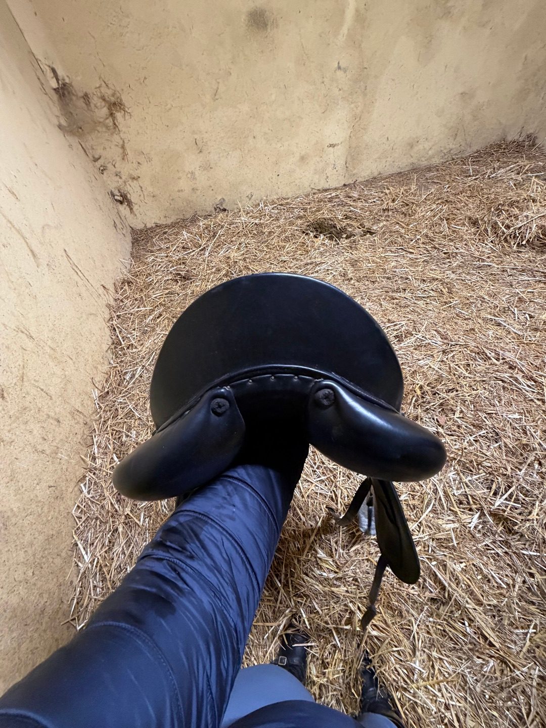 Selle dressage Aulion, média 5