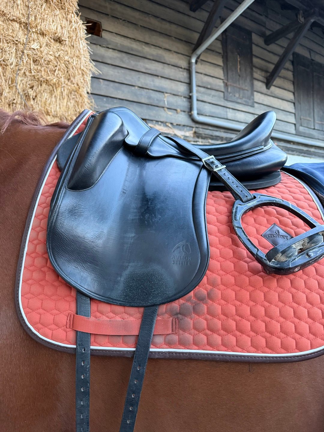 Selle dressage Aulion, média 2