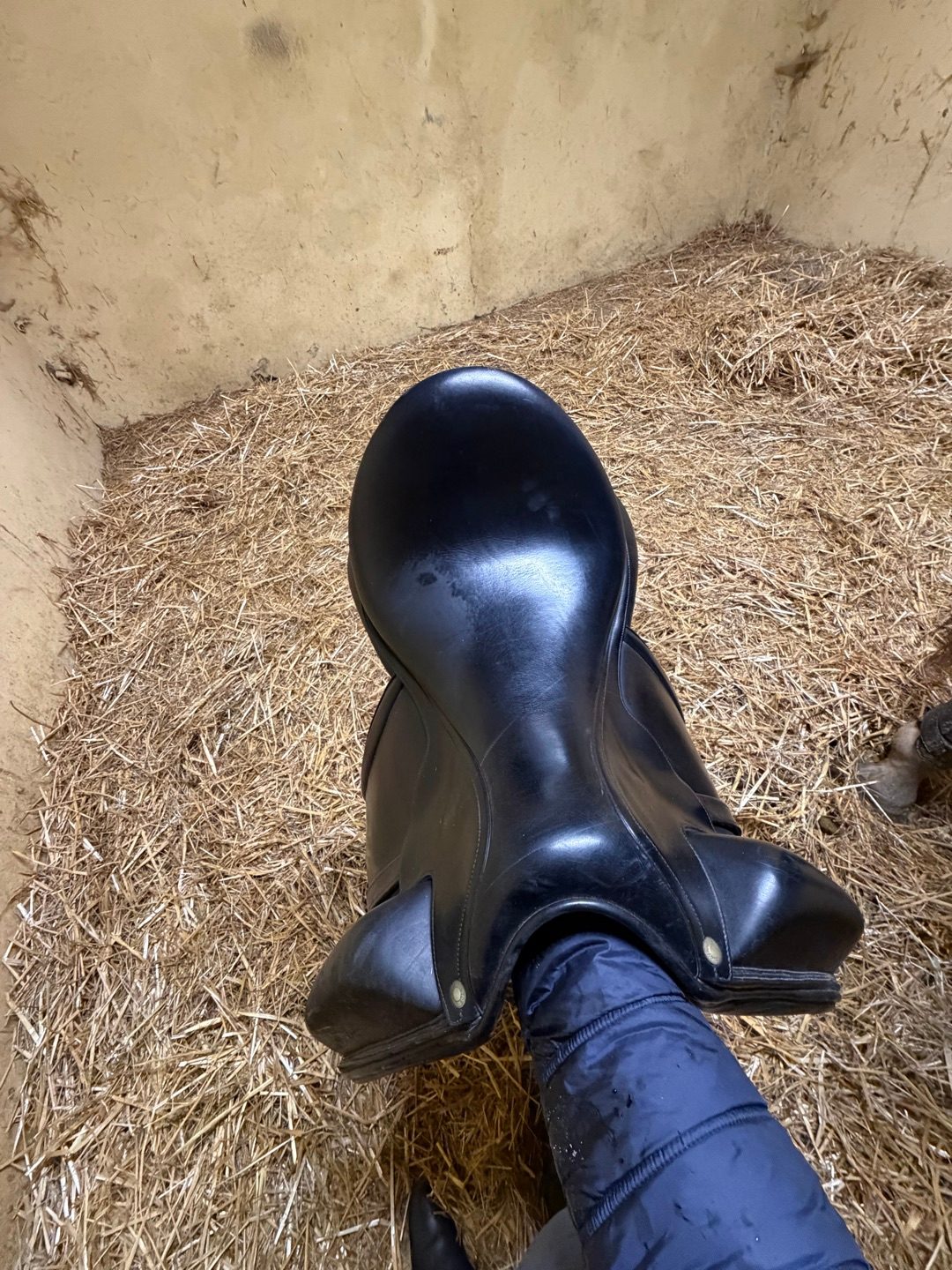 Selle dressage Aulion, média 3