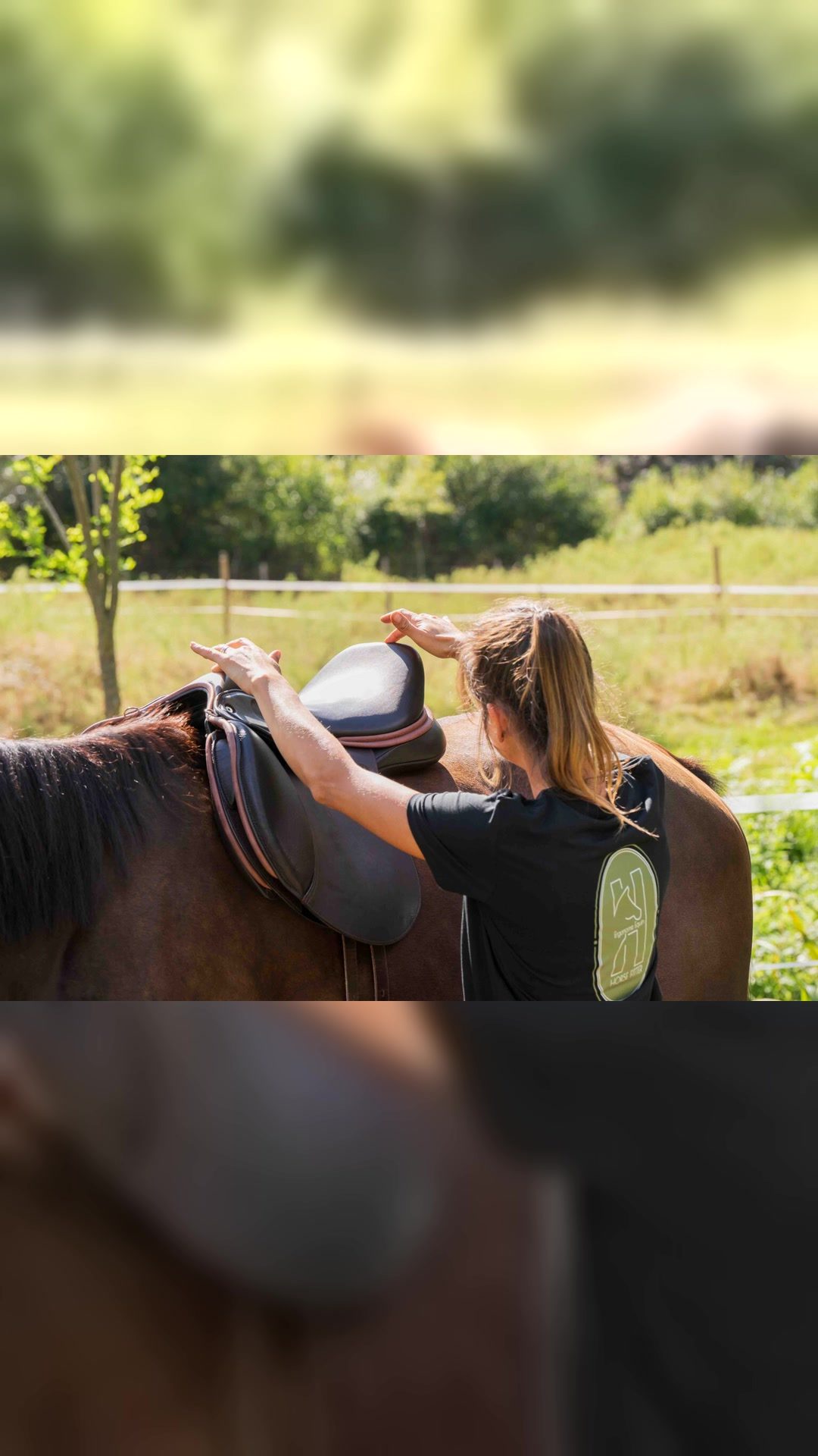 HORSE FITTER : Séance de Bit - Bridle - Saddle Fitting, média 6