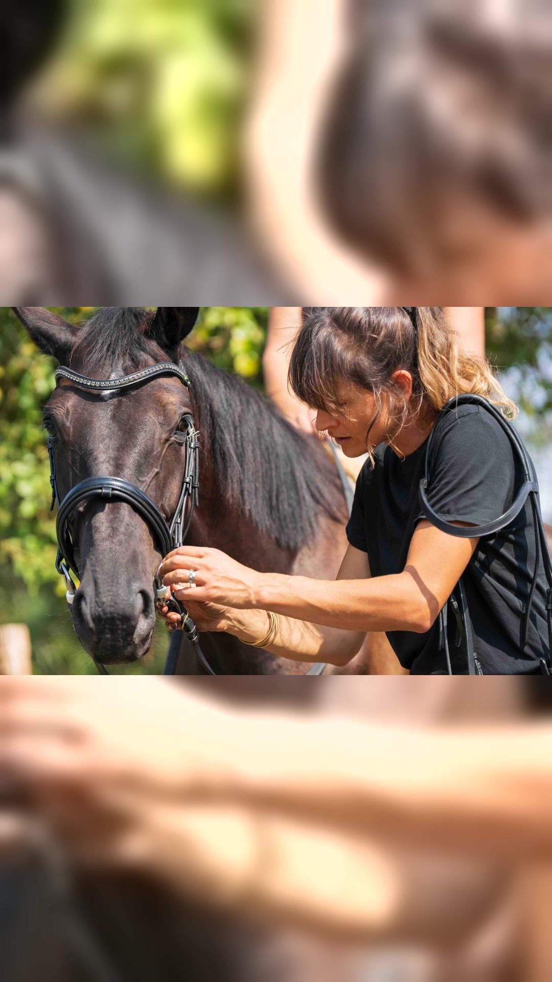 HORSE FITTER : Séance de Bit - Bridle - Saddle Fitting, média 3