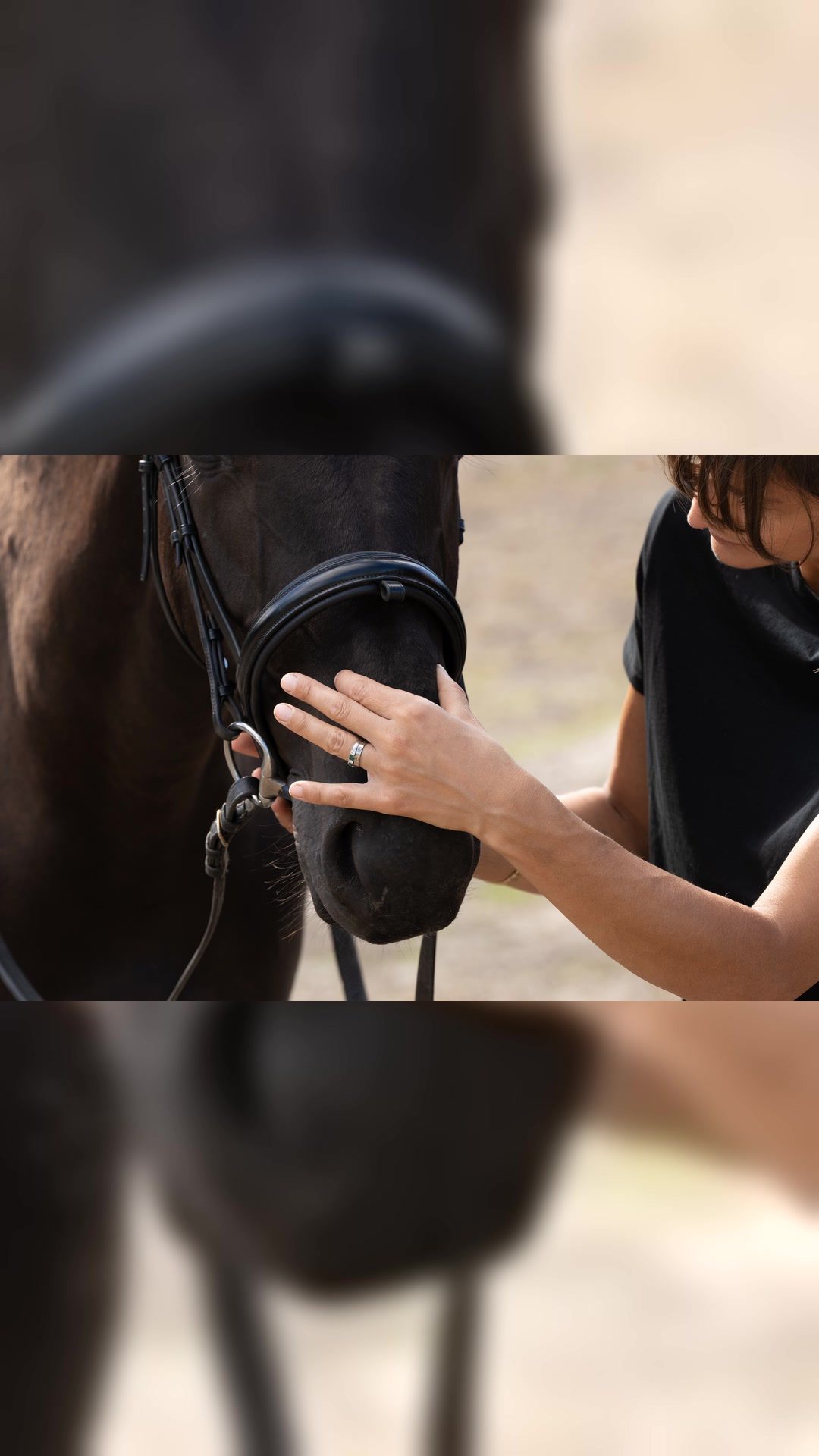 HORSE FITTER : Séance de Bit - Bridle - Saddle Fitting, média 2