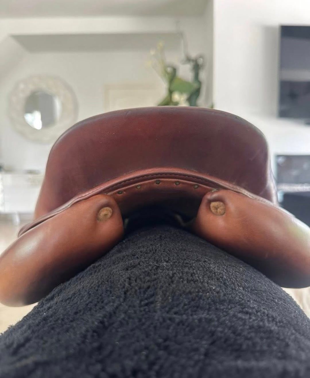 Selle Meyer, média 4