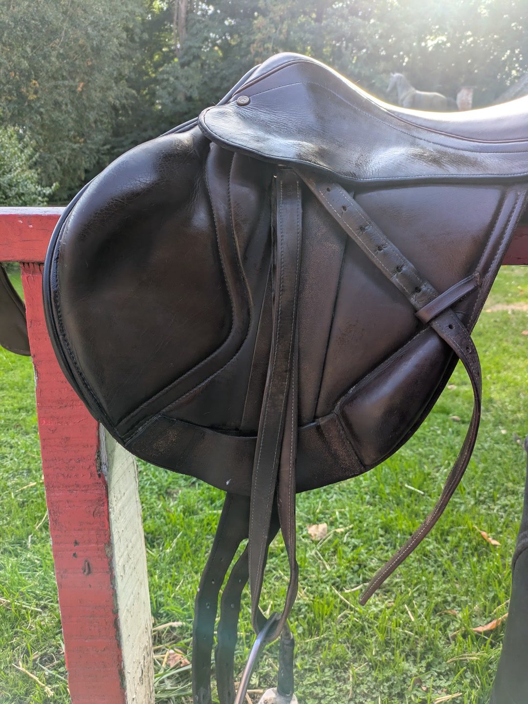 Selle de cross, média 3