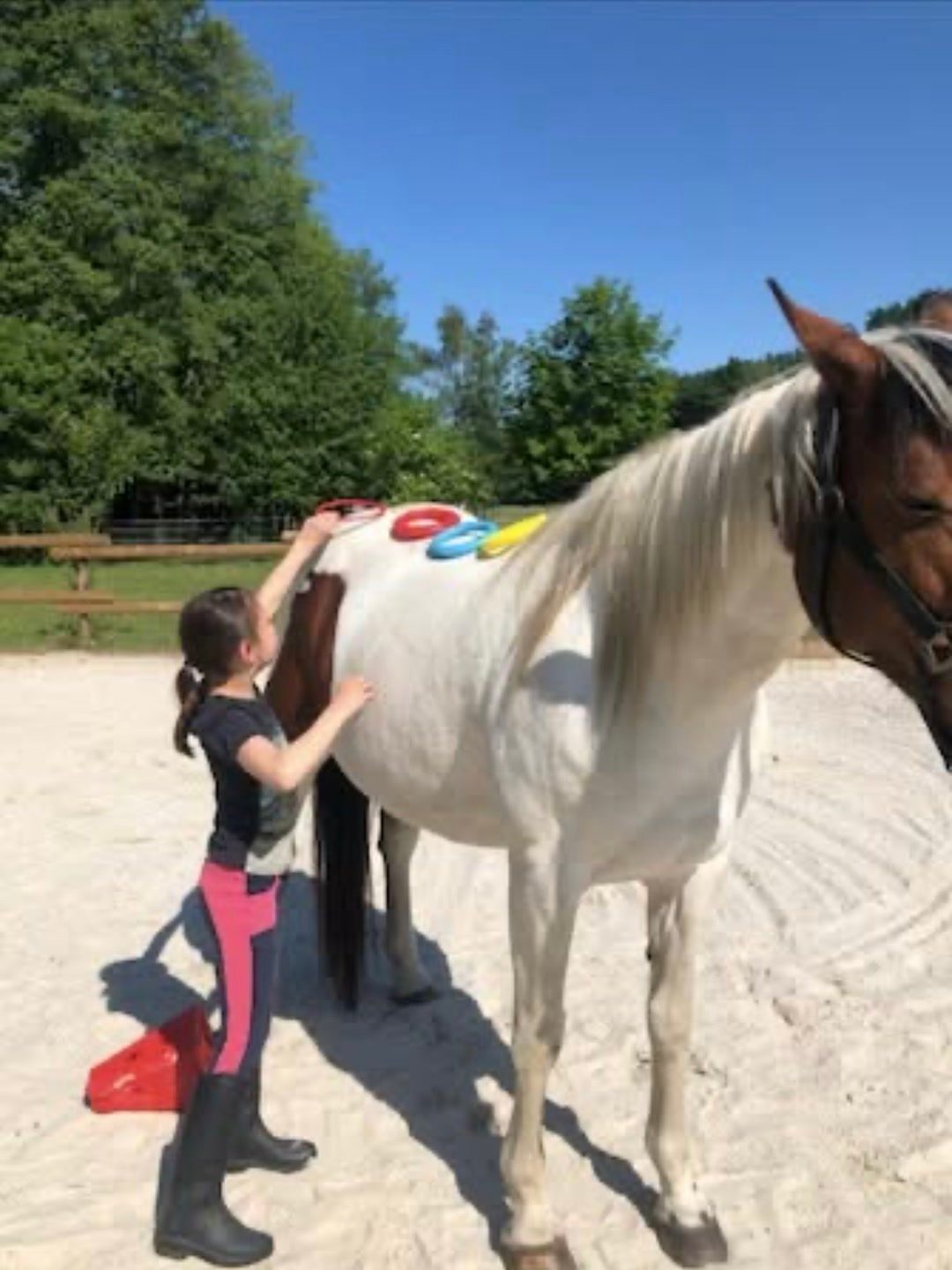 Equitherapie, média 2