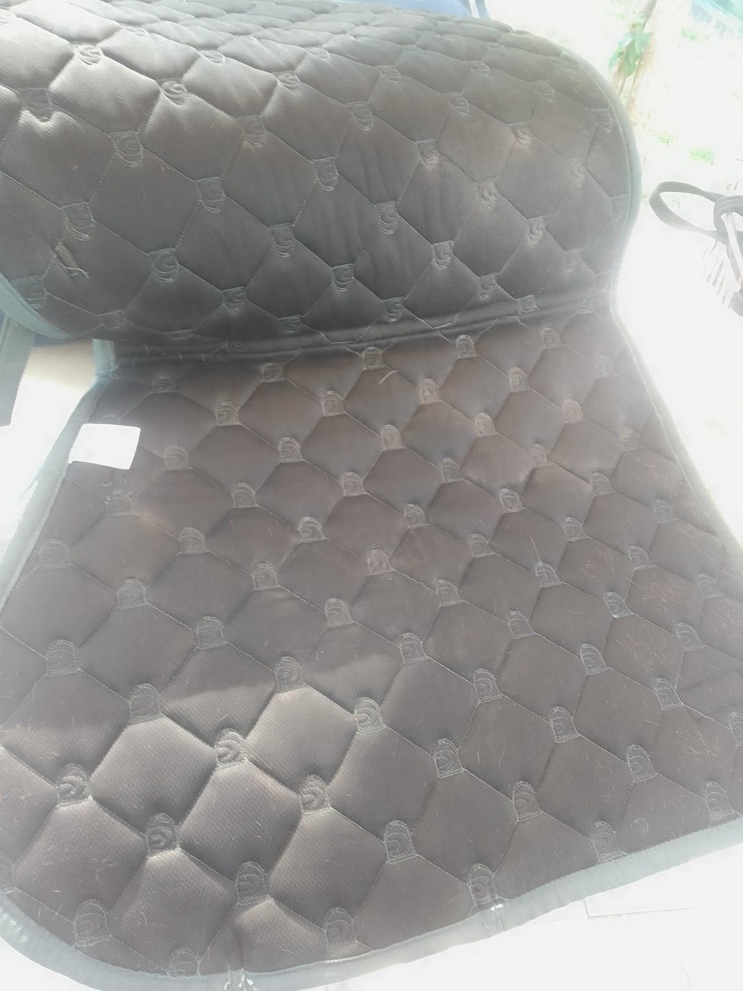 Tapis cavallo vert bouteille, média 2