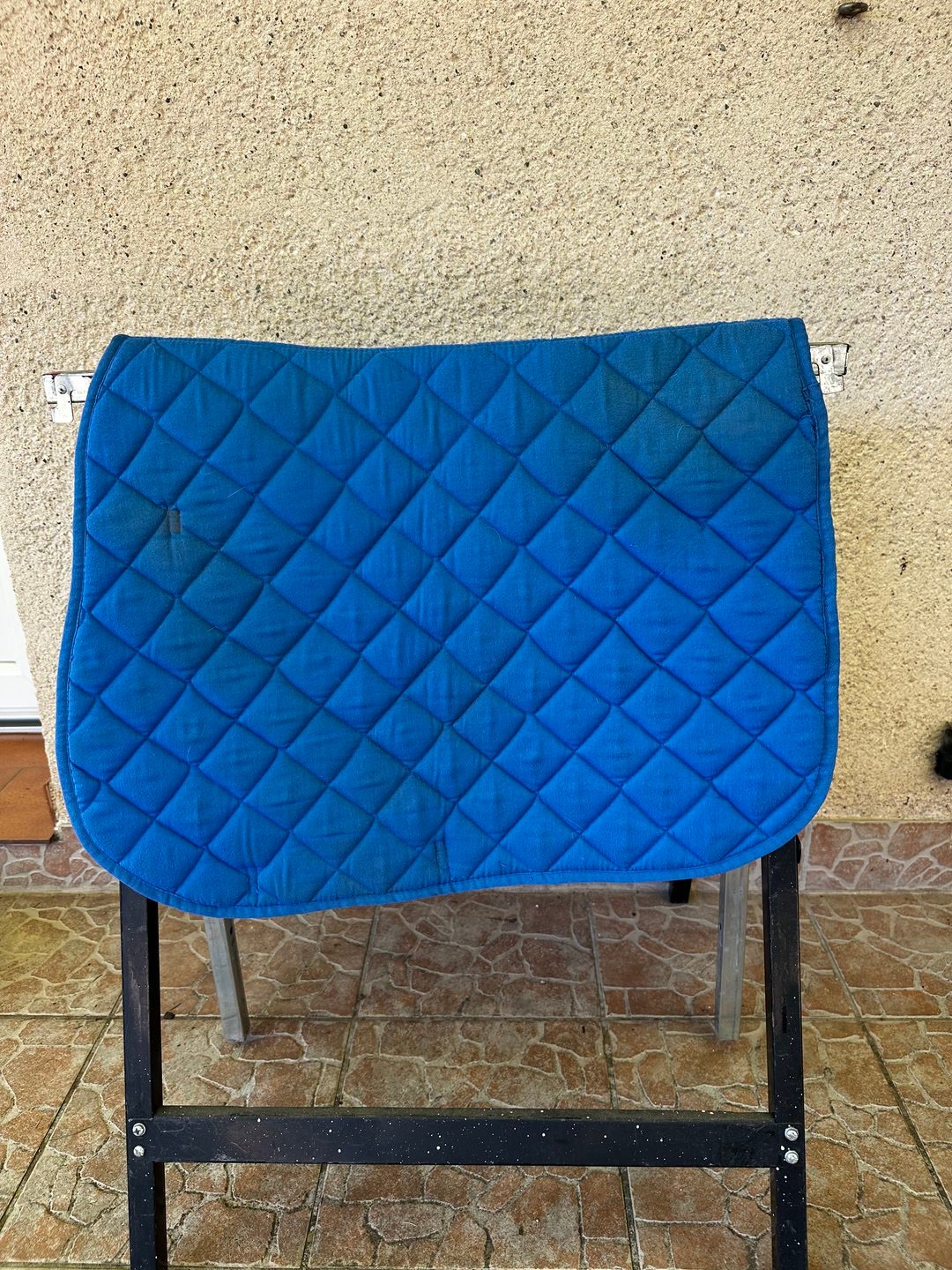 Tapis Cheval Junior, média 3