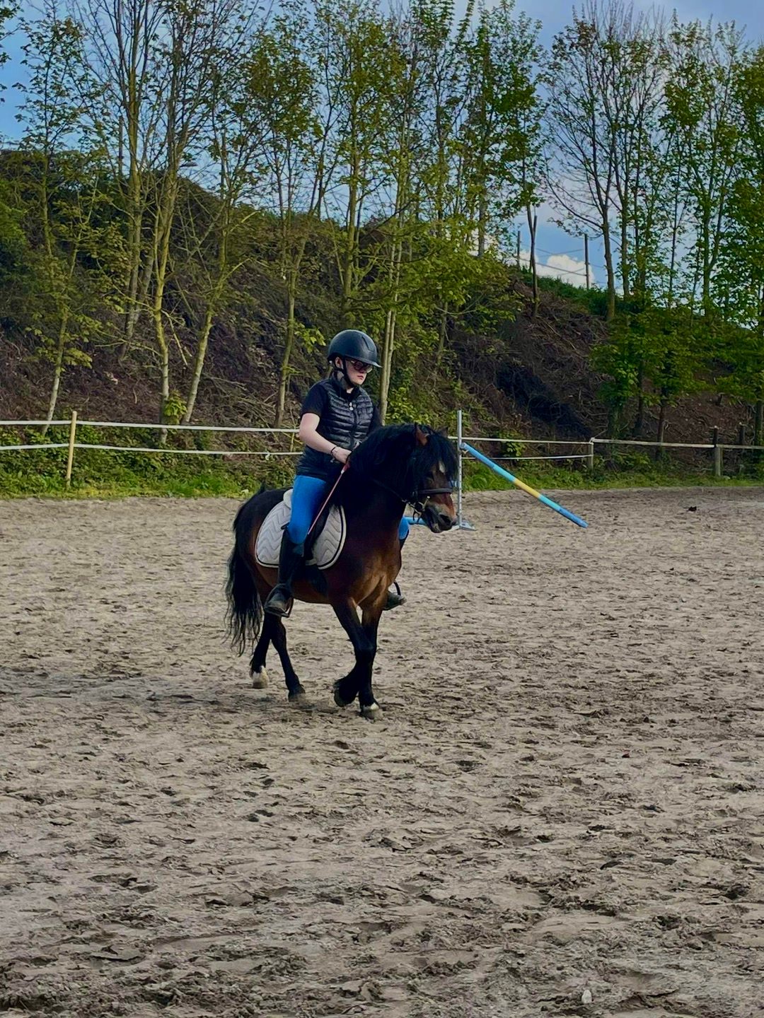 Tapis equitheme, média 2