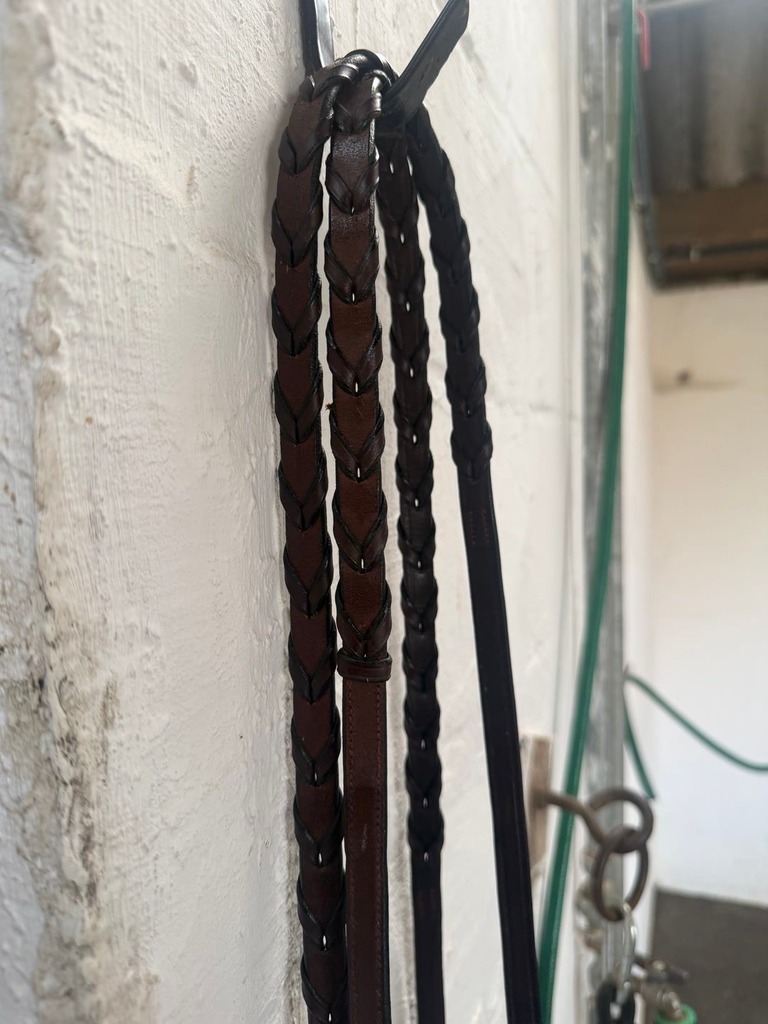 Dy’on Laced reins, média 2