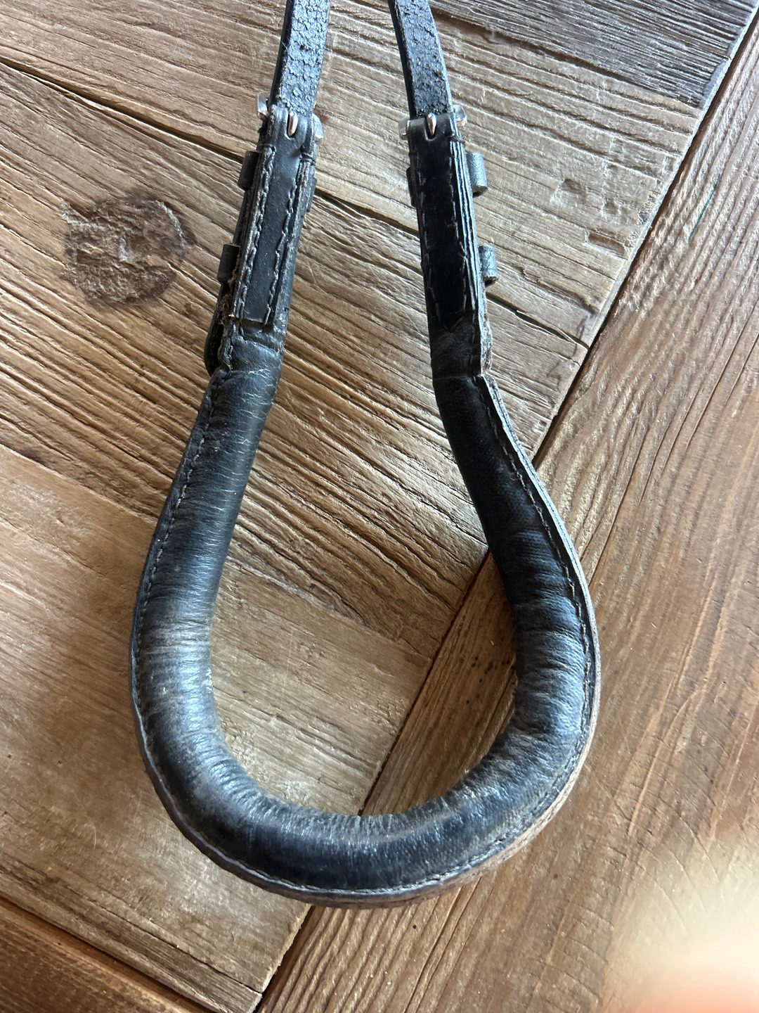 Croupière  poney D, média 2