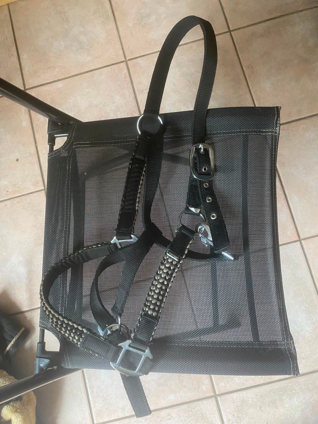 Licol taille cheval, média 5