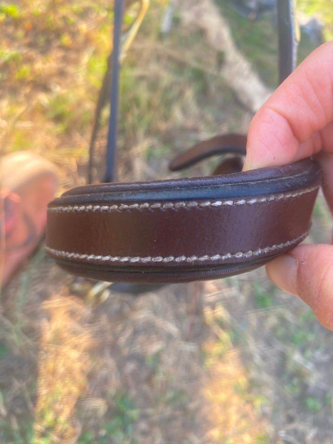 Licol en cuir brun, média 6