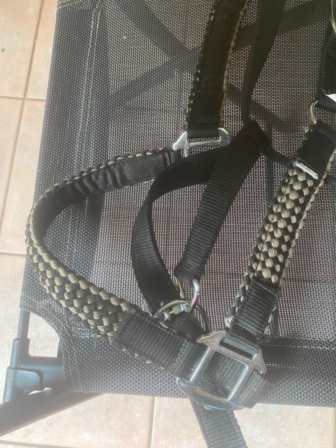 Licol taille cheval, média 4
