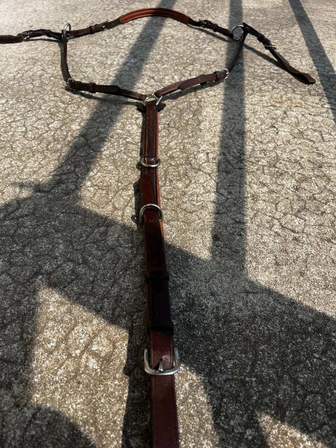 Collier de chasse Éric Thomas, média 2