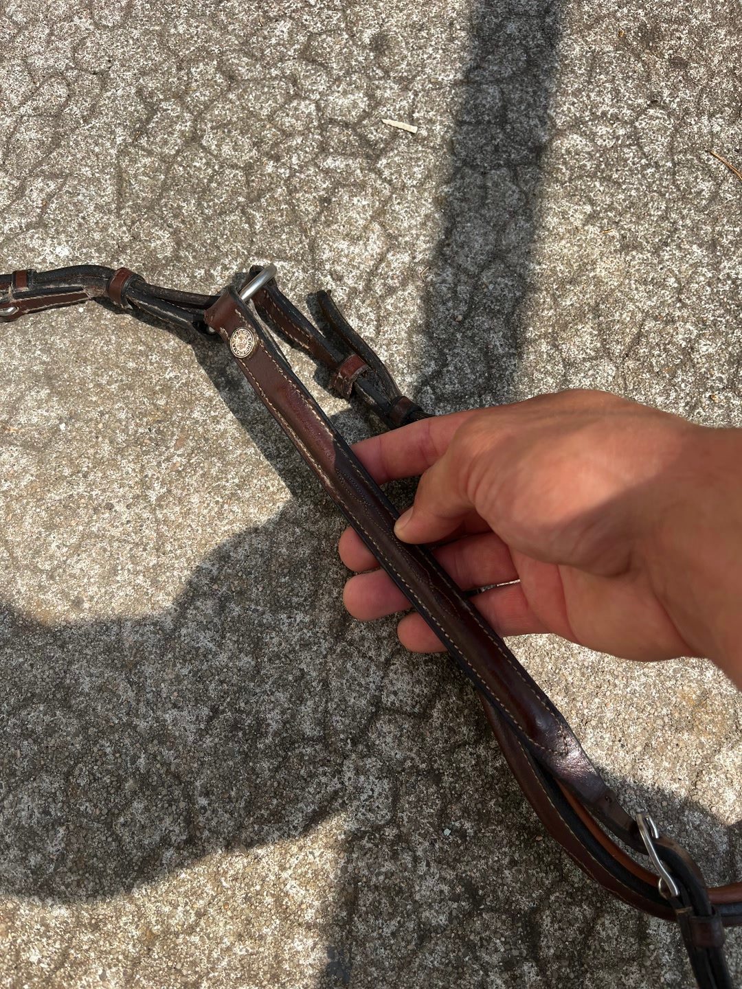 Collier de chasse Éric Thomas, média 6