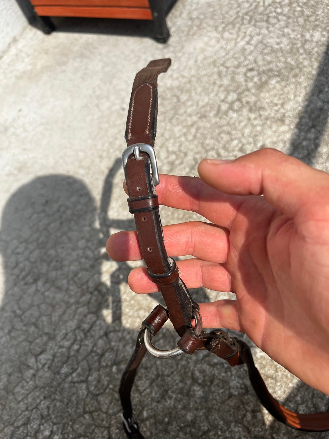 Collier de chasse Éric Thomas, média 5