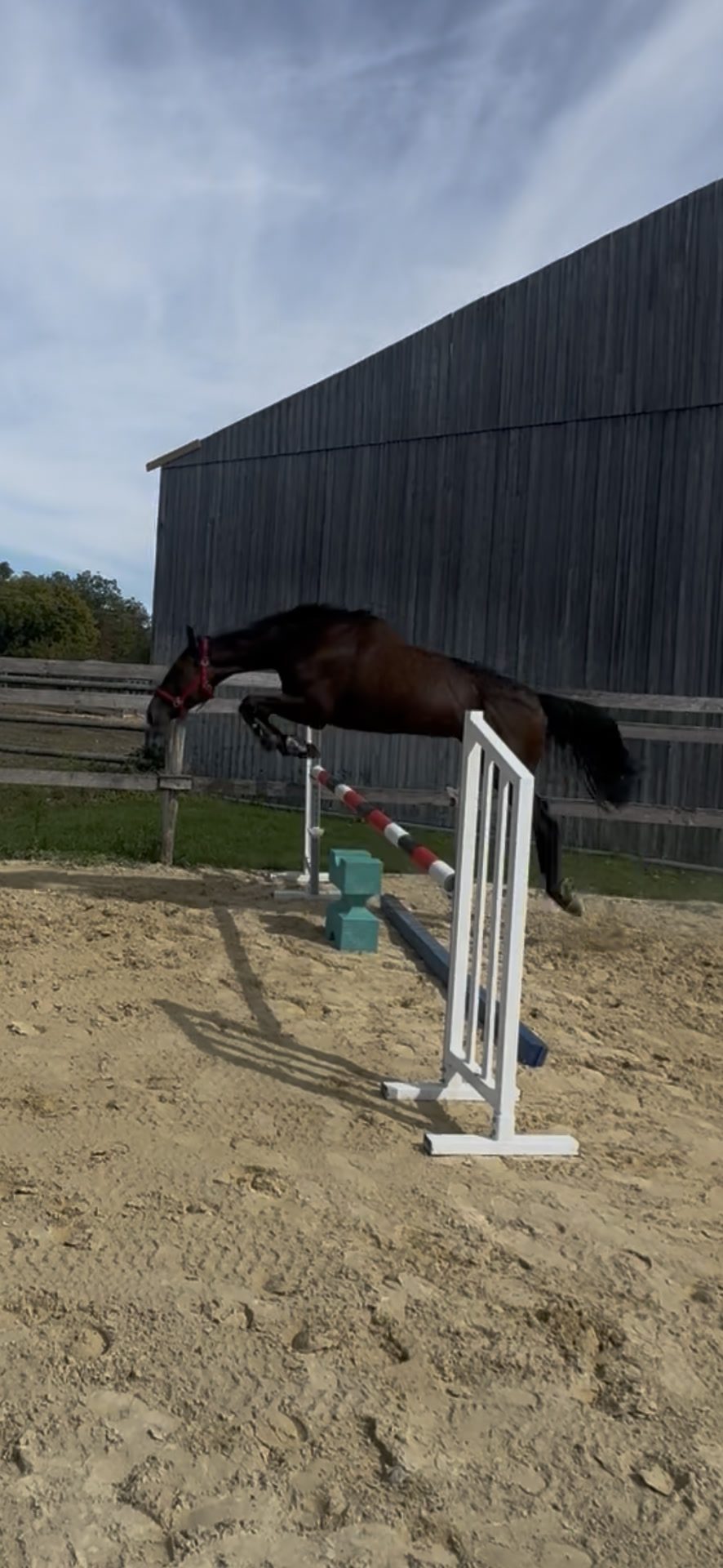 MERVEILLEUX, média 5