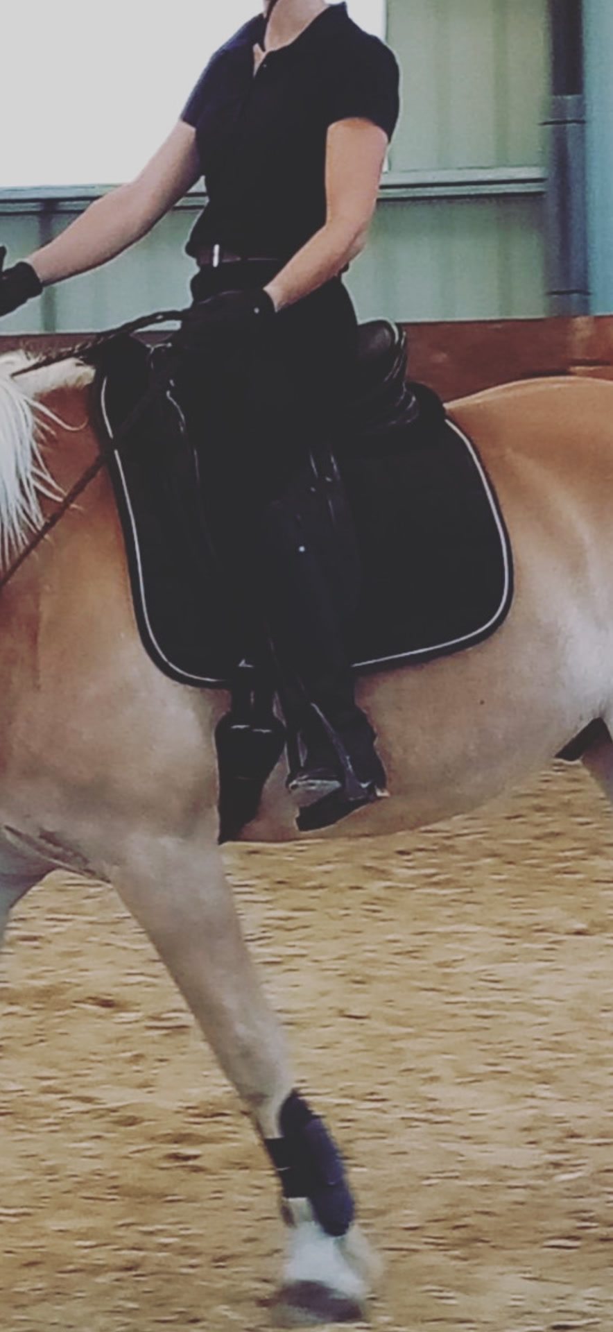 Selle de dressage Éric Thomas, média 9