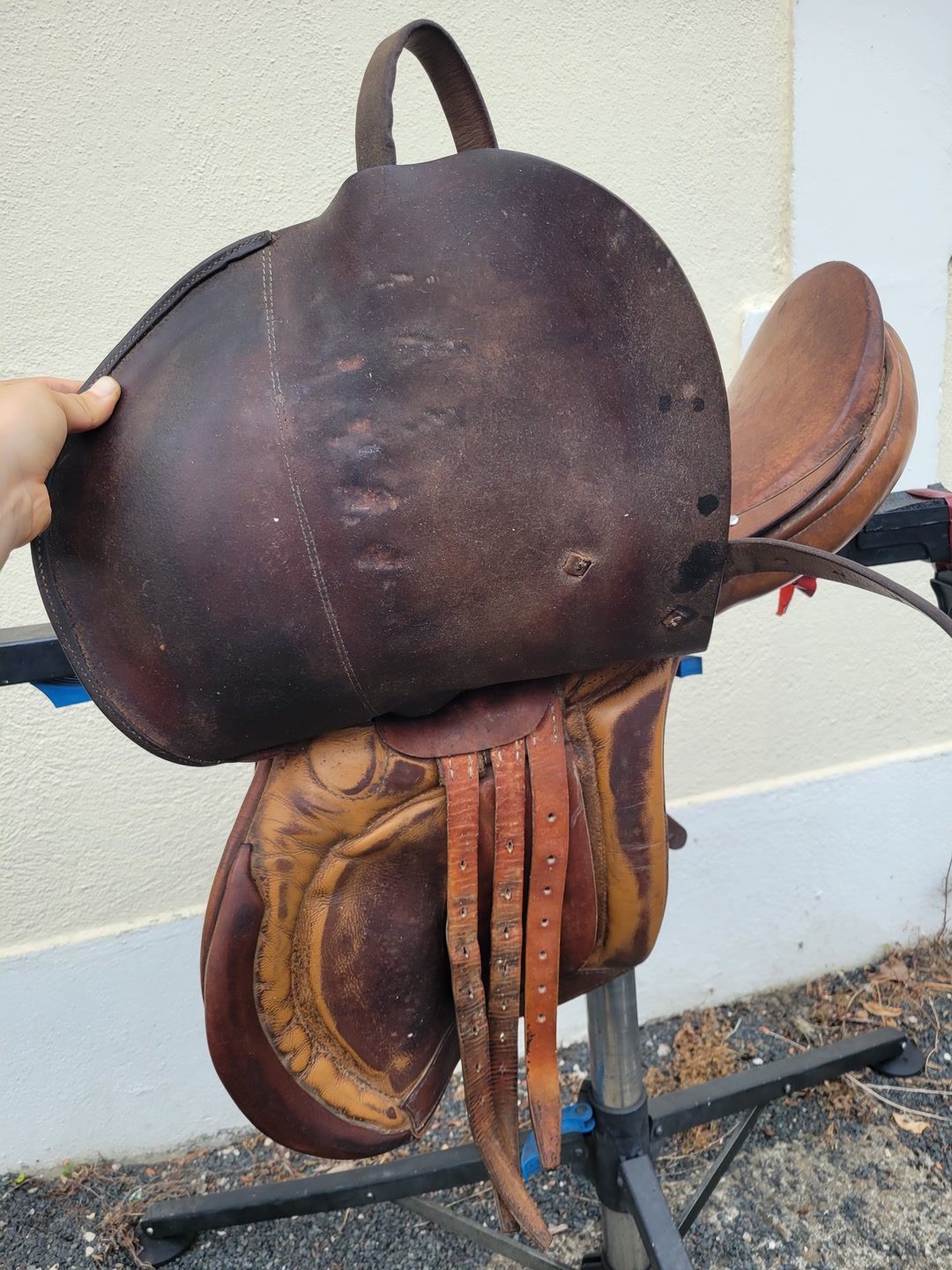Selle mixte Pariani 17,5/18, média 7