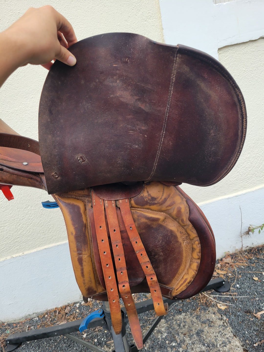 Selle mixte Pariani 17,5/18, média 5