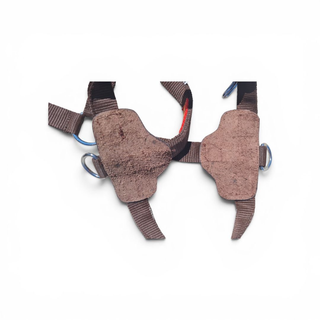 Licol en nylon marron neuf – Motif drapeau espagnol, média 4