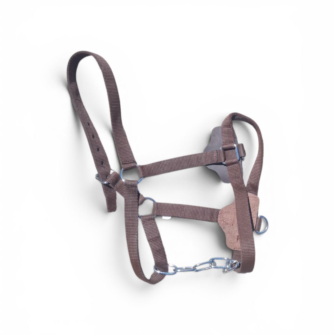 Licol en nylon marron neuf – Motif drapeau espagnol, média 3