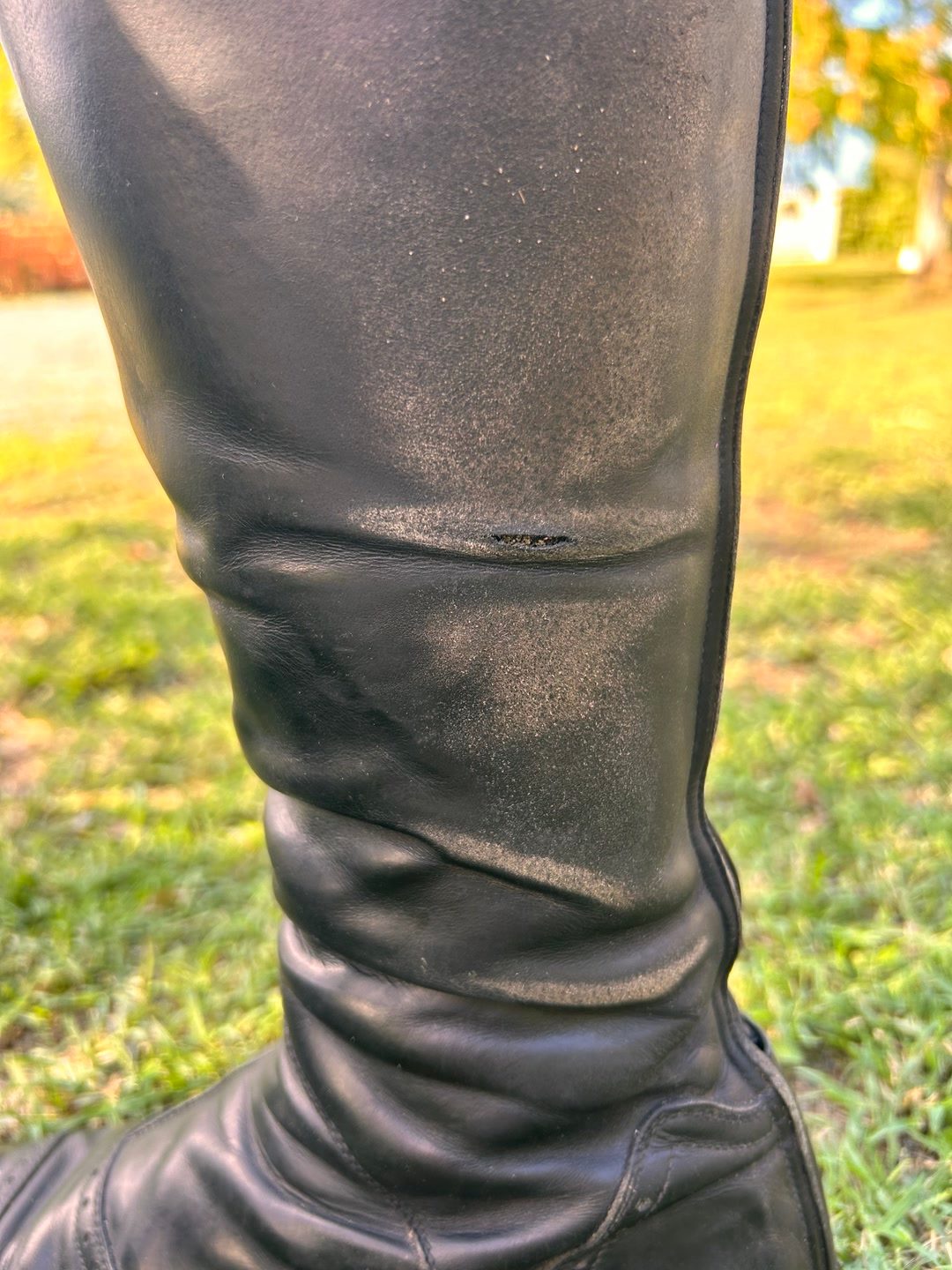 Bottes cuir taille 39 Alberto Fasciani, média 5