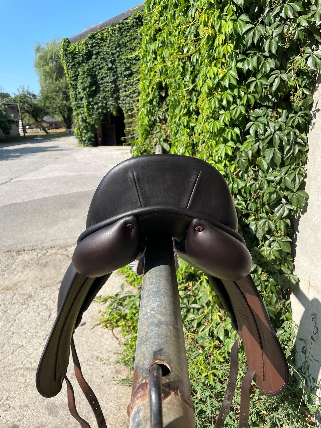Selle dressage Childéric, média 2